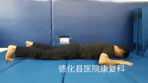 脊柱伸展運動 脊柱伸展運動